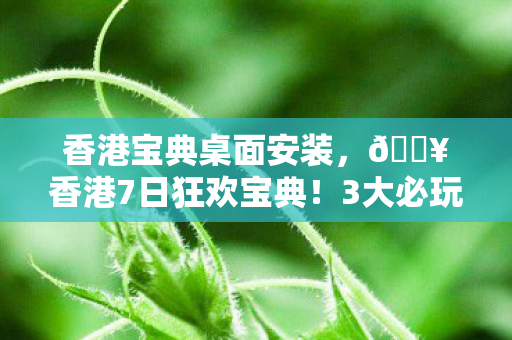 香港宝典桌面安装图片