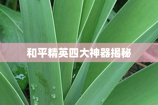 和平精英四大神器揭秘