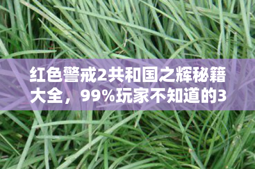 共和国之辉这波操作让我血压飙升又上头图片