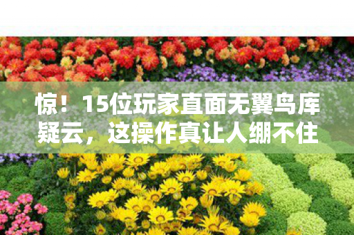 15位玩家直面无翼鸟库疑云图片