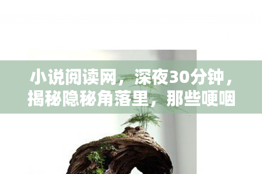 那些哽咽的小说阅读时光图片