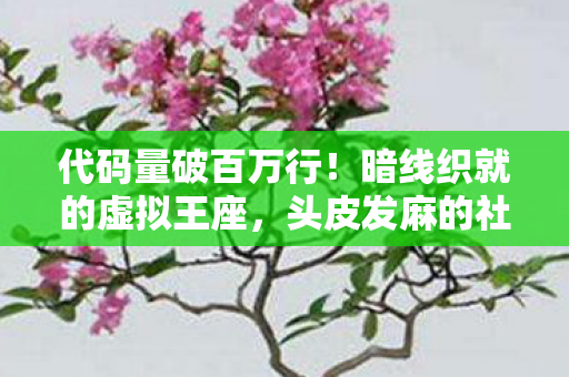 暗线织就的虚拟王座图片