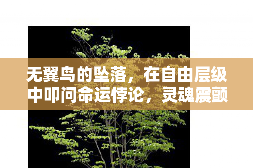 在自由层级中叩问命运悖论图片
