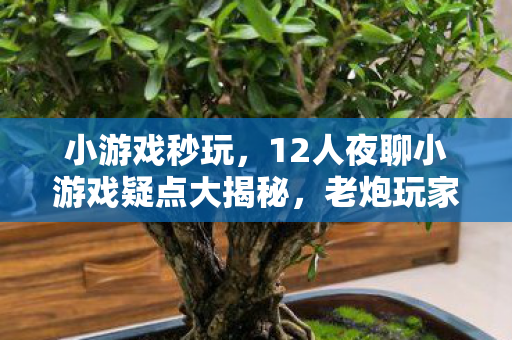 12人夜聊小游戏疑点大揭秘图片