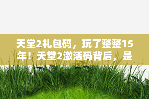 天堂2激活码背后图片