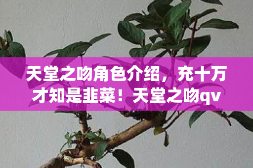 天堂之吻qvod背后隐情图片