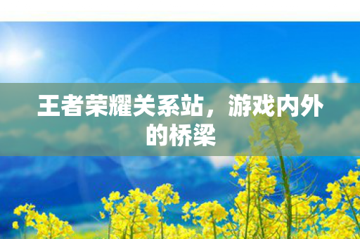 王者荣耀关系站,游戏内外的桥梁 王者荣耀关系站,游戏内外的桥梁