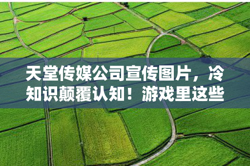 游戏里这些设计竟藏着目瞪口呆的秘密炸弹图片