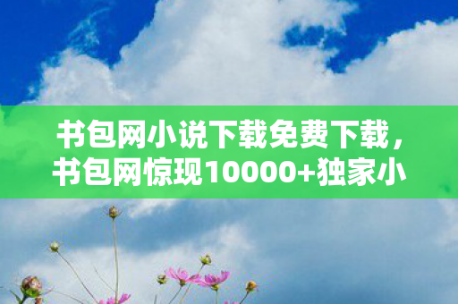 书包网小说下载免费下载图片