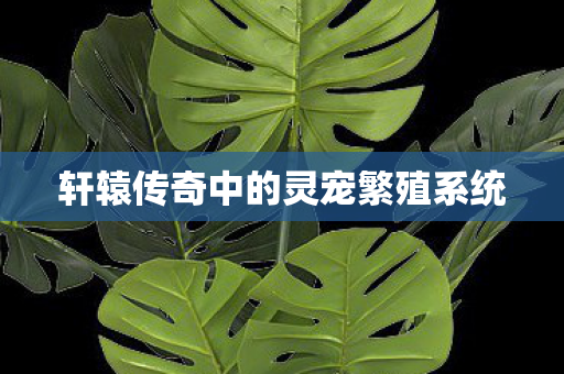 轩辕传奇中的灵宠繁殖系统 轩辕传奇中的灵宠繁殖系统