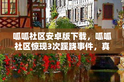 呱呱社区惊现3次蹊跷事件图片