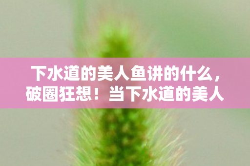 我竟用房租换来这意想不到的收藏图片