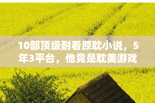 他竟是耽美游戏背后的神秘制作人图片