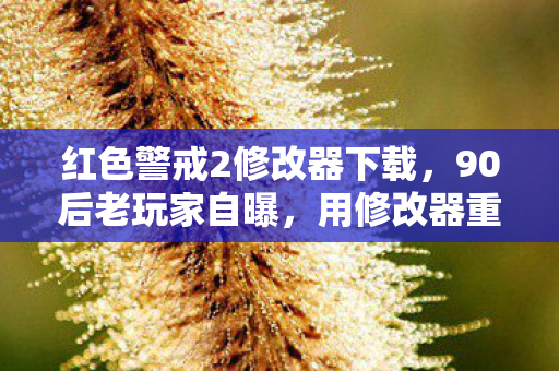 红色警戒2修改器下载图片