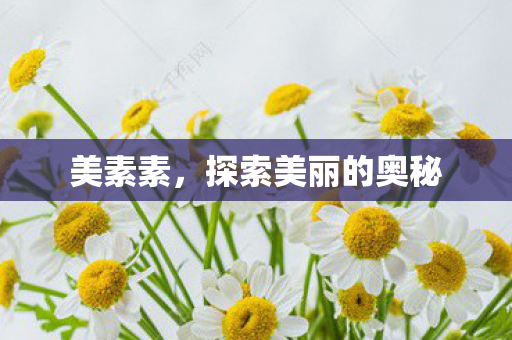 美素素,探索美丽的奥秘 美素素,探索美丽的奥秘
