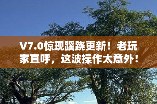 0惊现蹊跷更新图片