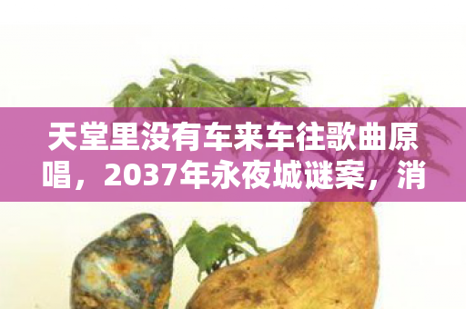 消失的轨道车与永不熄灭的霓虹图片
