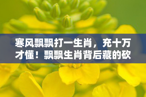 飘飘生肖背后藏的砍单黑幕图片