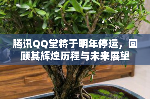 腾讯QQ堂将于明年停运,回顾其辉煌历程与未来展望 腾讯QQ堂将于明年停运,回顾其辉煌历程与未来展望