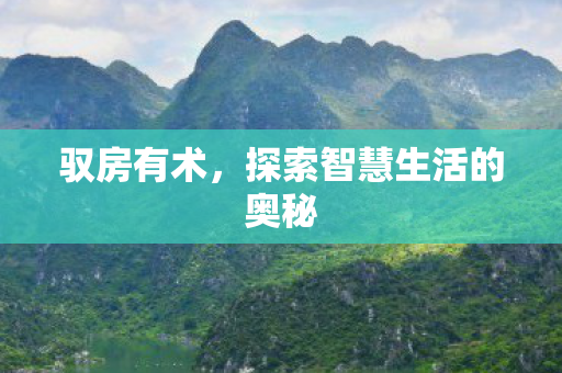 驭房有术,探索智慧生活的奥秘 驭房有术,探索智慧生活的奥秘