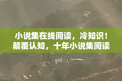十年小说集阅读竟藏着目瞪口呆的真相图片