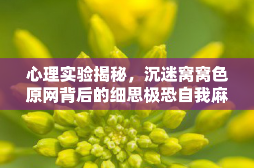 沉迷窝窝色原网背后的细思极恐自我麻醉图片