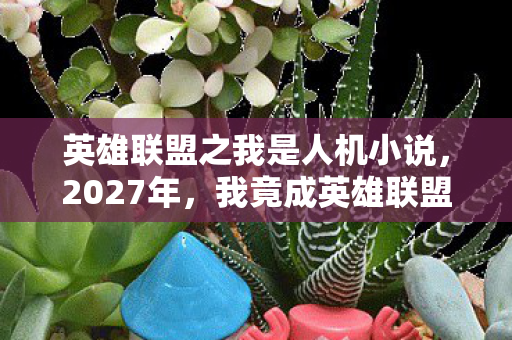 英雄联盟之我是人机小说图片
