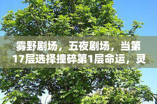 当第17层选择撞碎第1层命运图片