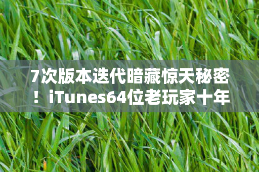 iTunes64位老玩家十年血泪史大揭秘图片