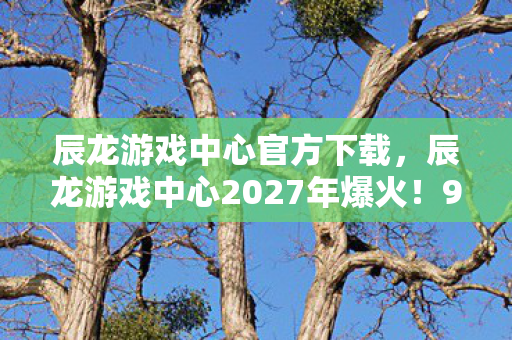 辰龙游戏中心2027年爆火图片