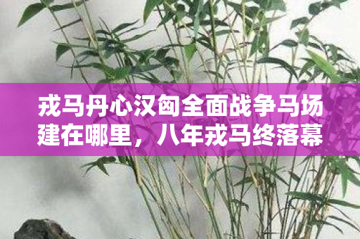 戎马丹心汉匈全面战争马场建在哪里图片