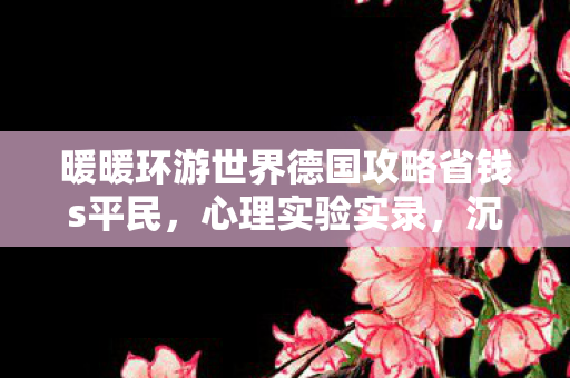 沉迷德国之旅细思极恐的自我麻醉剂量表图片