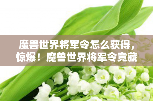魔兽世界将军令竟藏3000万隐情图片