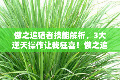 傲之追猎者实战体验太顶了图片