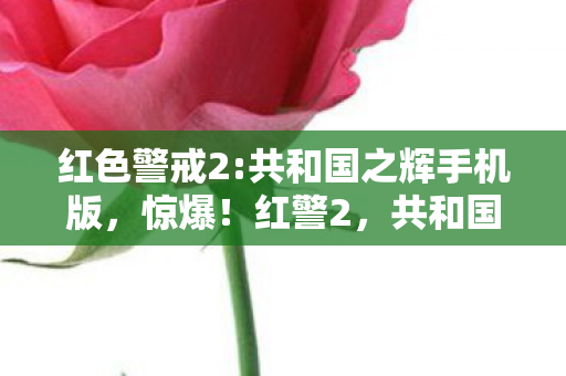 共和国之辉背后竟藏500万隐情图片