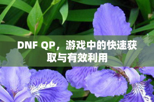 DNF QP,游戏中的快速获取与有效利用 DNF QP,游戏中的快速获取与有效利用