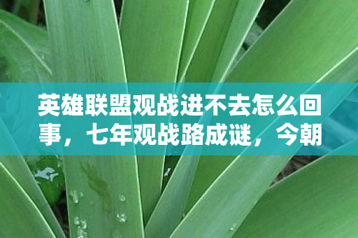 英雄联盟观战进不去怎么回事图片