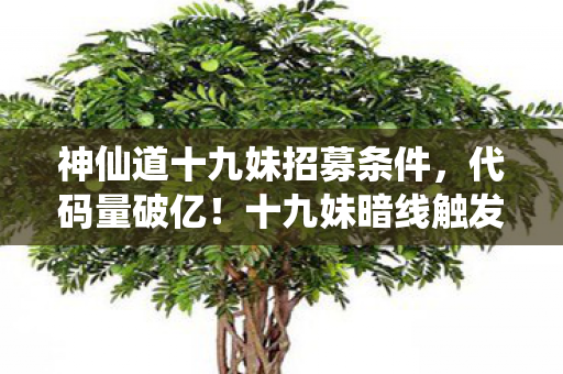 十九妹暗线触发量子头皮发麻模式图片