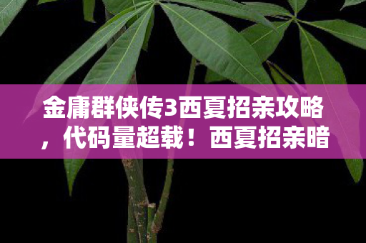 西夏招亲暗线触发神经脉冲警报图片