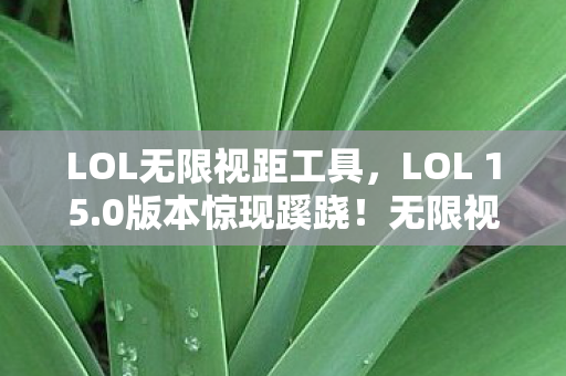 无限视距竟成老玩家集体泪目伏笔图片