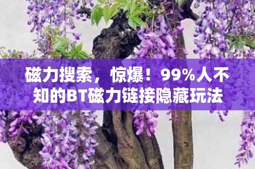 人不知的BT磁力链接隐藏玩法图片