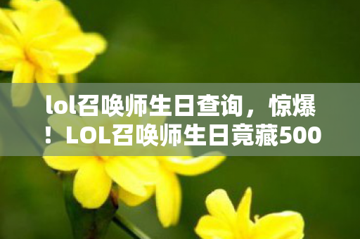 LOL召唤师生日竟藏5000元隐情图片