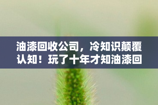 玩了十年才知油漆回收竟让我目瞪口呆图片