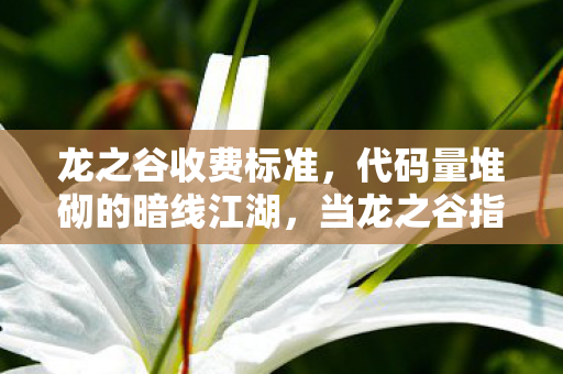 当龙之谷指挥官的头皮发麻现实图片