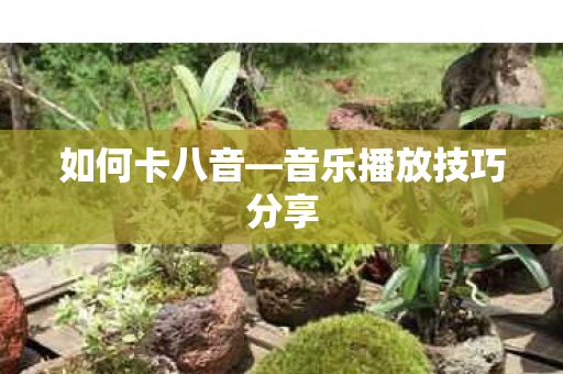 如何卡八音—音乐播放技巧分享 如何卡八音—音乐播放技巧分享