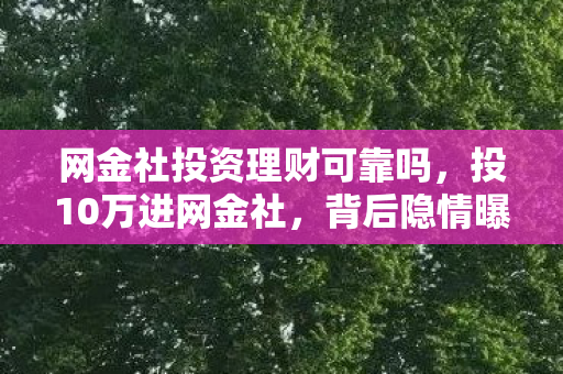 网金社投资理财可靠吗图片