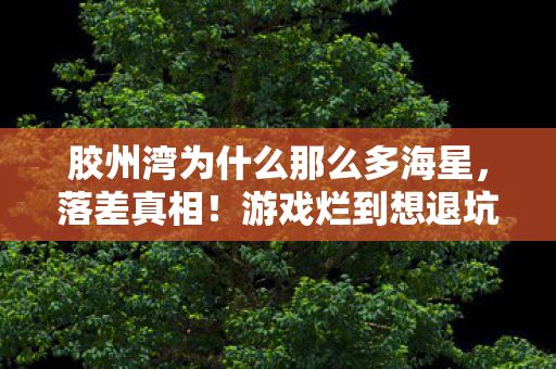 胶州湾为什么那么多海星图片