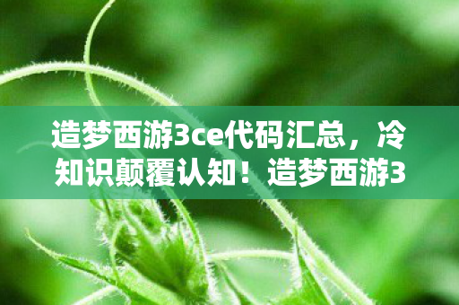 造梦西游3CE代码暗藏玄机图片