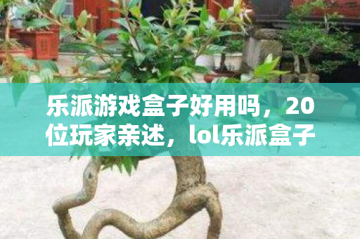 lol乐派盒子这神秘功能咋回事图片