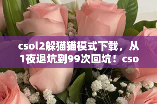 csol2躲猫猫这波操作让我彻底破防了图片